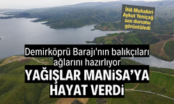 Yağışlar Manisa'ya hayat verdi