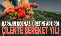 Barajın dolması üretimi artırdı... Çilekte bereket yılı