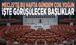 Meclis’te bu hafta gündem çok yoğun... İşte görüşülecek başlıklar