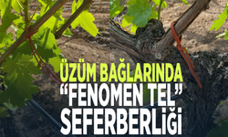 Üzüm bağlarında “Fenomen Tel” seferberliği!