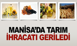 Manisa'da tarım sektörü düşüşe geçti