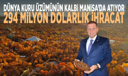 Dünya kuru üzümünün kalbi Manisa’da atıyor...  294 milyon dolarlık ihracat