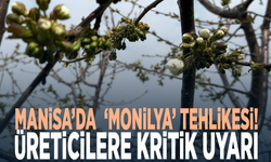 Manisa’da ‘Monilya’ tehlikesi! Üreticilere kritik uyarı