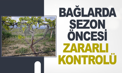 Alaşehir’de Bağlarda Sezon Öncesi Zararlı Kontrolleri Yapıldı