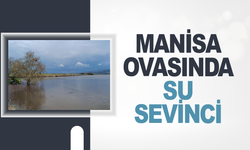 Manisa ovasında su sevinci