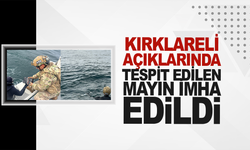 Kırklareli açıklarında tespit edilen mayın imha edildi