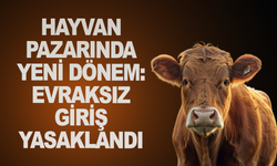 Salihli Hayvan Pazarına Giriş Şartları Açıklandı