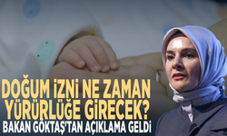 Doğum izni ne zaman yürürlüğe girecek? Bakan Göktaş'tan açıklama geldi