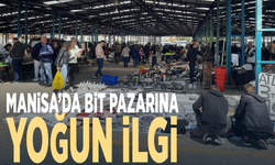 Manisa’da bit pazarına yoğun ilgi