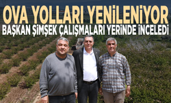 Ova yolları yenileniyor... Başkan Şimşek çalışmaları yerinde inceledi