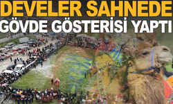 Saruhanlı’da 18. Geleneksel Deve Güreşi Coşkusu