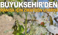 Zirai Don Alarmı: Manisa İçin Kritik Uyarı