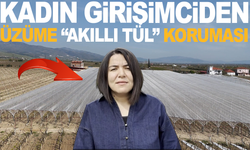 Üzümde Kayıp Azalıyor: Tül Sistemiyle Yeni Dönem