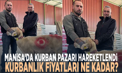 Manisa’da kurban pazarı hareketlendi.. Kurbanlık fiyatları ne kadar?