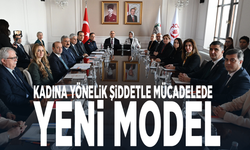 Kadına yönelik şiddetle mücadelede yeni model