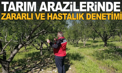 Tarım Arazilerinde son durum ne?