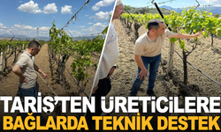 Manisa'da Bağlar Mercek Altında: Teknik İnceleme Sürüyor