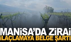 Zirai İlaçlamaya Belge Şartı: Denetimler Sıkılaşıyor