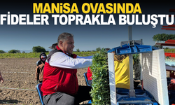 Manisa’da Domates Fideleri Toprakla Buluştu