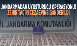 Jandarmadan uyuşturucu operasyonu! Zehir taciri cezaevine gönderildi