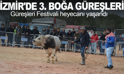İzmir'de 3. Boğa Güreşleri Festivali heyecanı yaşandı