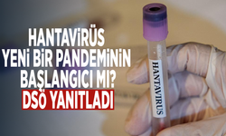 Hantavirüs yeni bir pandeminin başlangıcı mı? DSÖ yanıtladı