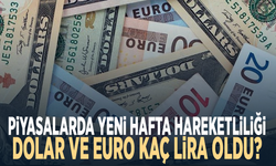 Piyasalarda yeni hafta hareketliliği: Dolar ve euro kaç lira oldu?
