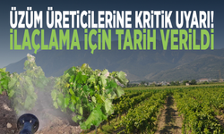 Manisa’da üzüm üreticilerine kritik uyarı! İlaçlama için tarih verildi