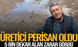 Saruhanlı'da Yağışlar Afete Dönüştü: 5 Bin Dekar Alan Zarar Gördü