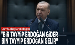 Cumhurbaşkanı Erdoğan: "Bir Tayyip Erdoğan gider bin Tayyip Erdoğan gelir"