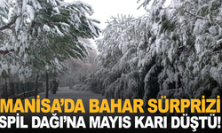 Manisa’da Bahar Sürprizi: Spil Dağı’na Mayıs Karı Düştü!