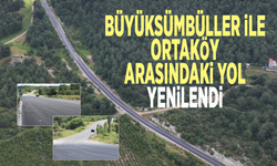 Büyüksümbüller ile Ortaköy arasındaki yol yenilendi