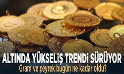 Altında yükseliş trendi sürüyor