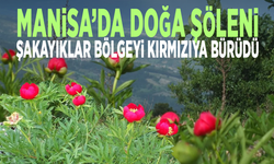 Manisa’da doğa şöleni... Şakayıklar bölgeyi kırmızıya bürüdü