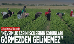 Zekayi Yılmaz’dan çağrı: "Mevsimlik tarım işçilerinin sorunları görmezden gelinemez"