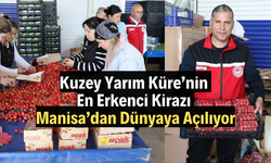 Kuzey Yarım Küre’nin En Erkenci Kirazı Manisa’dan Dünyaya Açılıyor