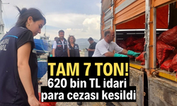 7 ton kaçak midye ele geçirildi