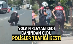 Otomobilin çarpıp kaçtığı kediyi yol kenarına alan polisler takdir topladı