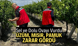 Sel ve Dolu Tarımı Vurdu: Üzüm, Mısır, Pamuk Zarar Gördü