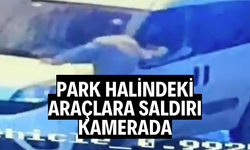 Park halindeki araçlara saldırı kamerada