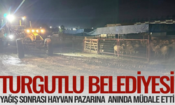 Turgutlu'da Sağanak Sonrası Hayvan Pazarı'na Müdahale