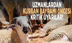 Uzmanlardan Kurban Bayramı öncesi kritik uyarılar!