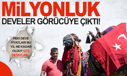 Tonluk develer ve danalar kurban pazarında görücüye çıktı
