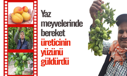 Yaz meyvelerinde bereket üreticinin yüzünü güldürdü