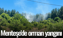 Menteşe'de orman yangını