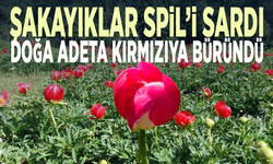 Spil Dağı’nda kırmızı güzellik