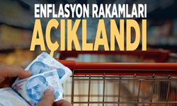 Enflasyon rakamları açıklandı
