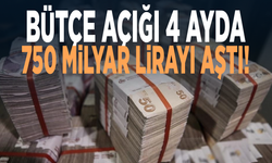 4 aylık bütçe açığı dikkat çekti! Tam 758,8 milyar TL