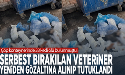 Çöp konteynerinde 33 kedi ölü bulunmuştu! Serbest bırakılan veteriner yeniden gözaltına alınıp tutuklandı