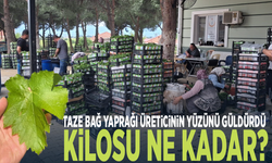 Taze bağ yaprağı üreticinin yüzünü güldürdü: Kilosu ne kadar?